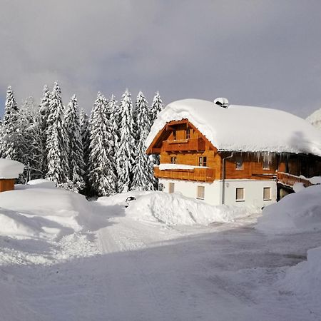 Apartamento Haus Unterdieterer Annaberg im Lammertal Exterior foto