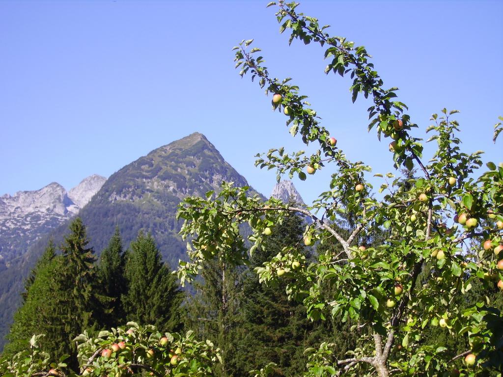 Apartamento Haus Unterdieterer Annaberg im Lammertal Habitación foto