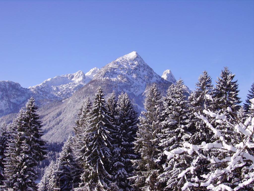 Apartamento Haus Unterdieterer Annaberg im Lammertal Habitación foto