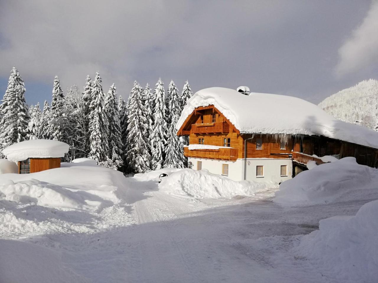 Apartamento Haus Unterdieterer Annaberg im Lammertal Exterior foto